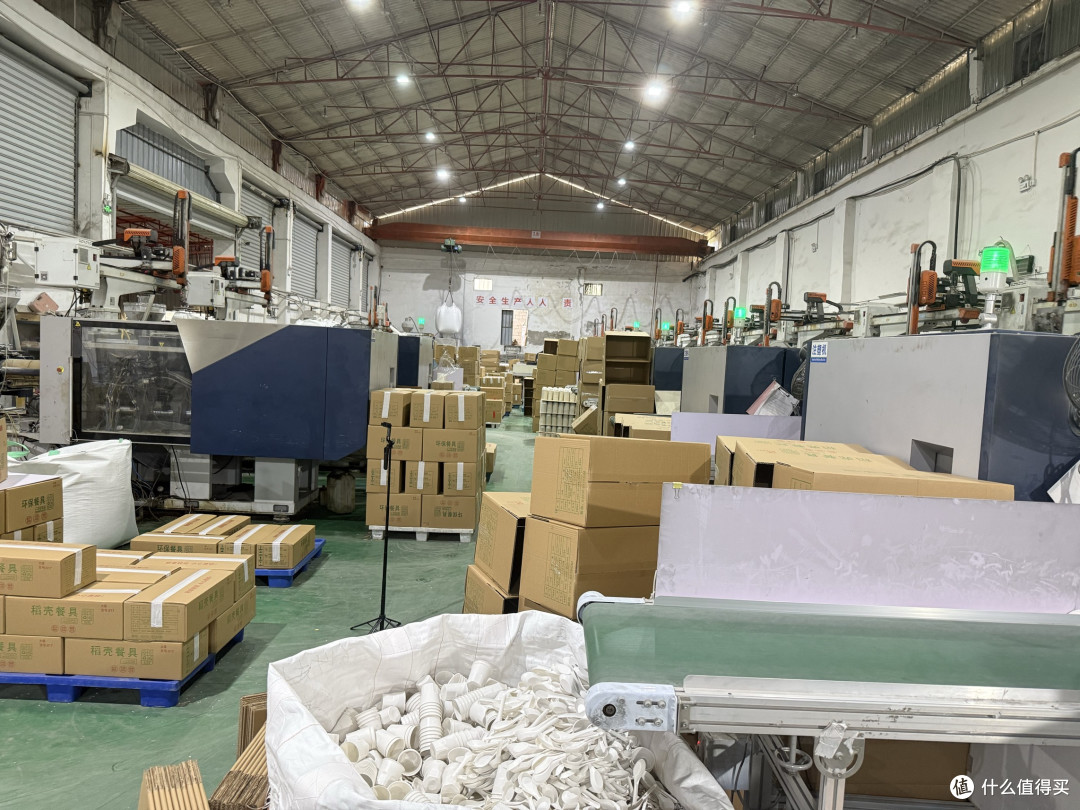如何辨別優質可降解餐具？福建廈門稻盈教你選對源頭好貨